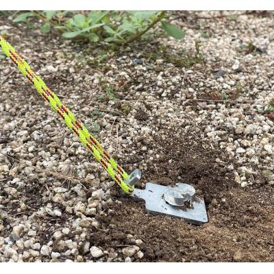 ふるさと納税 栃木市 ねじペグ25cm　シルバー　8本セット　キャンプ用ペグ　スパイラル　トルネード　アウトドア |  | 02