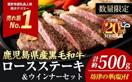＜14営業日以内に発送！＞＜2枚・計約500g＋ハンバーグ2個＞4等級以上！鹿児島県産黒毛和牛ロースステーキ2枚セット 黒毛和牛 ステーキ 冷凍【ナンチク】A780-v01
