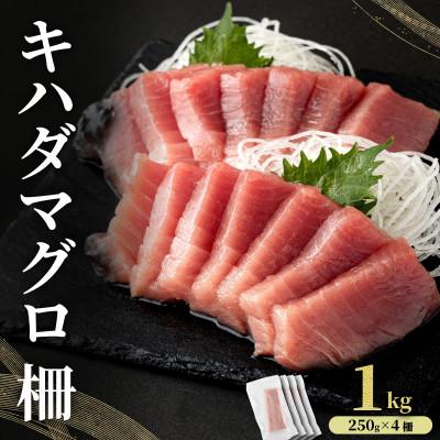 ふるさと納税 東洋町 キハダマグロ 柵 1kg