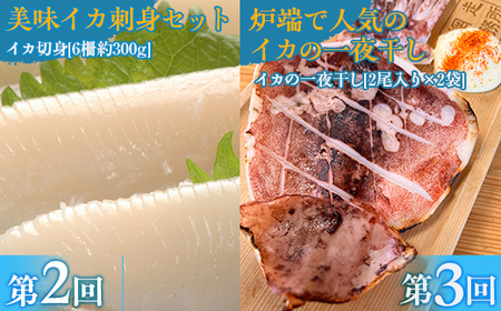 【毎月定期便】網走炉端五十集屋の酒の友達定期便(ほたて・いくら・たらこ、イカ刺身、イカ一夜干)全3回 【 ふるさと納税 人気 おすすめ ランキング ホタテ ほたて 帆立 いくら イクラ たらこ いか刺