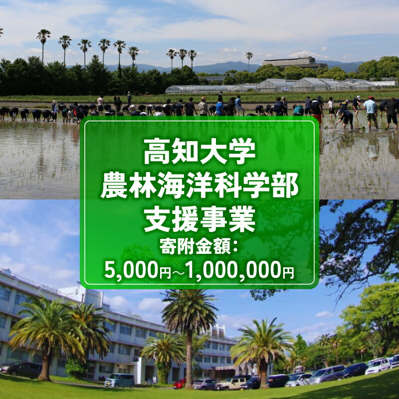 【ふるさと納税】 支援 返礼品なし 高知大学 農林海洋科学部 支援事業 ( 教育 研究 地域貢献を支える 寄附 ) 選べる 5,000円 10,000円 30,000円 50,000円 100,000円 500,000円 1,000,000円 実習・フィールドワーク支援 研究支援 地域貢献活動支援 人材育成 高知県 南国市