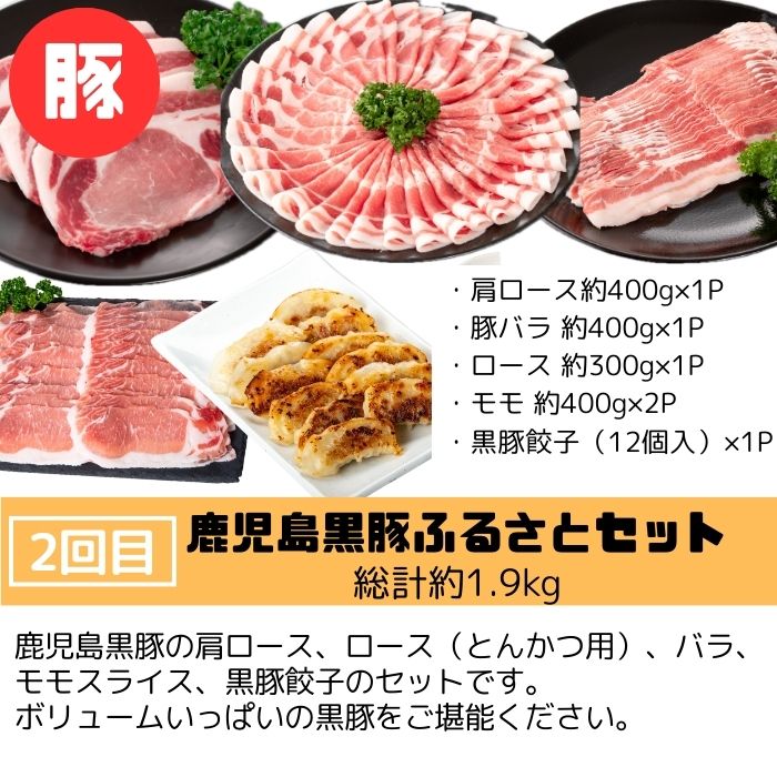 【E90001】＜定期便・全3回＞肝付町セレクト定期便《肉だらけ定期便A》_イメージ4