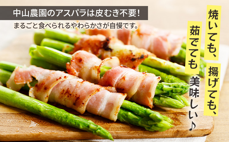 【2026年春発送】富良野産 アスパラ 約1kg 細め (S～Mサイズ混合) 中山農園 甘い やわらかい アスパラガス アスパラ 新鮮 野菜 産地直送 北海道 富良野 ふらの