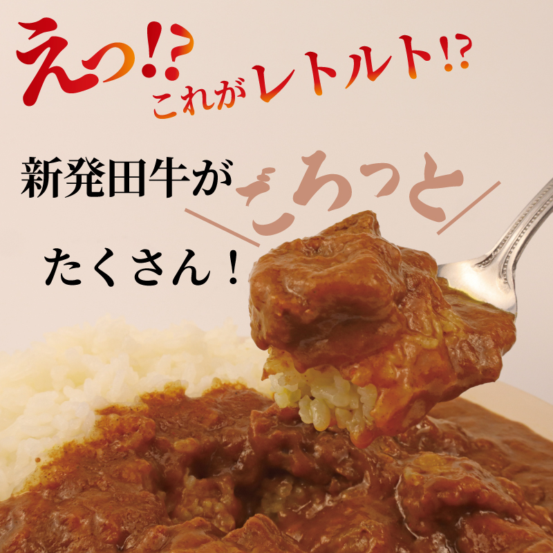 ビーフカレー 200g×5袋 カレー 牛肉 にいがた和牛 ブランド牛 黒毛和牛 レトルト 簡単 防災 非常食 常備 備蓄食 災害 贈答 セット ロングセラー 10000円 10000 1万円 1万 一