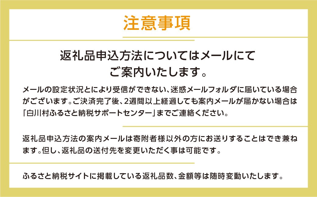 ＼あとから選べる ／オンラインカタログ あとからチョイス 2万円 20000円 有効期限なし 後から選べる S531 肉 牛肉 豚 すき焼き 焼肉 宿泊 観光 旅行 休日 旅 温泉 飛騨 飛騨牛 酒 