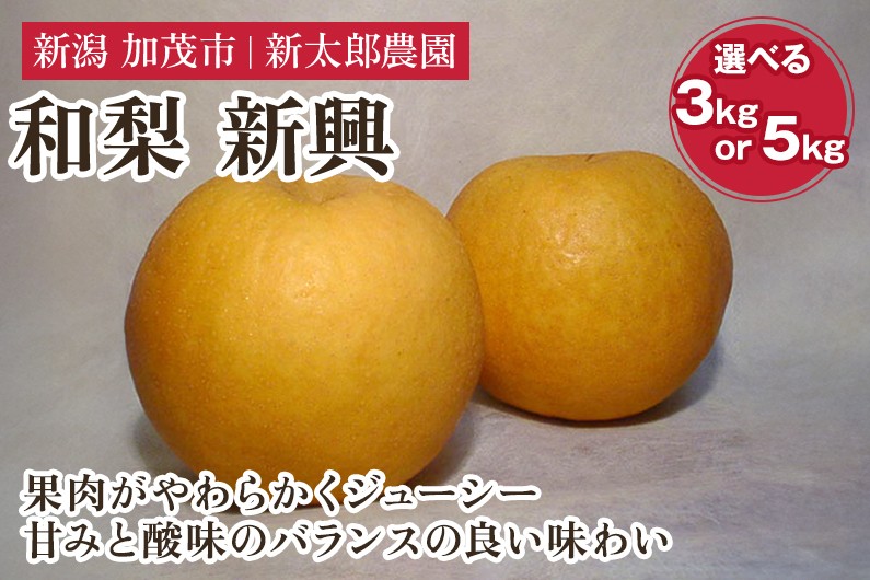 
                  【2025年先行予約】【選べる数量】和梨 新興 3kg（4～7玉） 5kg（7～10玉） 《10月下旬から順次発送》 果物 フルーツ 梨 和梨 デザート 加茂市  新太郎農園
                