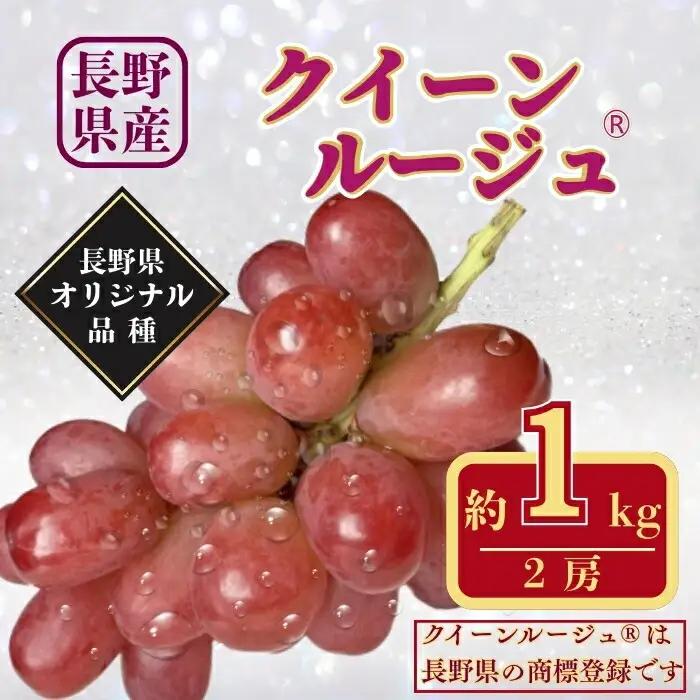 【2026年先行予約】クイーンルージュ® 約1kg|クイーンルージュ ぶどう