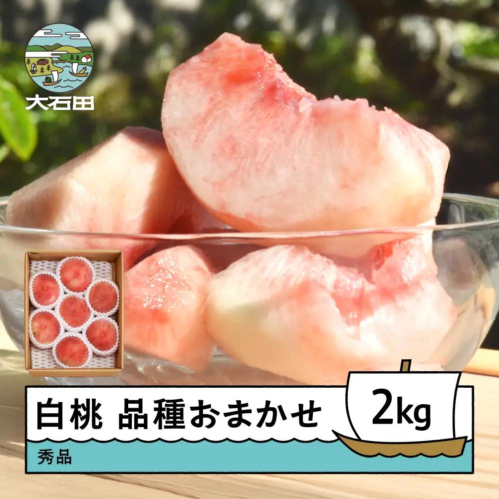 もも 白桃 品種おまかせ 2kg 令和8年産 2026年産 ry-mohtx2000