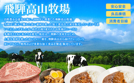 ４種のカレー食べ比べセット  180g×４袋 | レトルト 加工品 常温保存 ストック食材 防災  手軽 お手軽 個包装 レンジ 湯せん 5000円 飛騨高山牧場 HG013