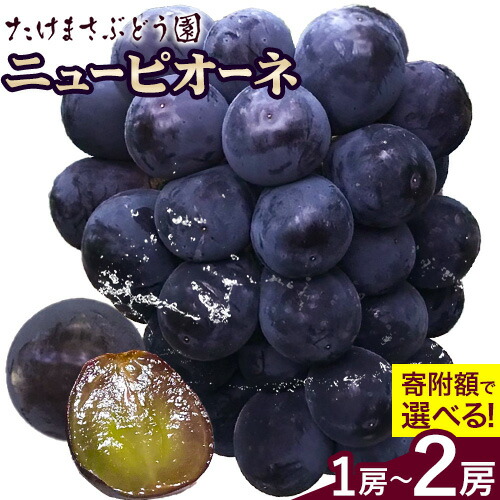 【先行予約】ぶどう ニューピオーネ 選べる 1房(約600g前後) 2房(1房650g前後) たけまさぶどう園 《7月中旬-10月上旬頃出荷》岡山県 浅口市 送料無料 フルーツ 果物 岡山県産 青果物 お取り寄せフルーツ【配送不可地域あり】(離島)
