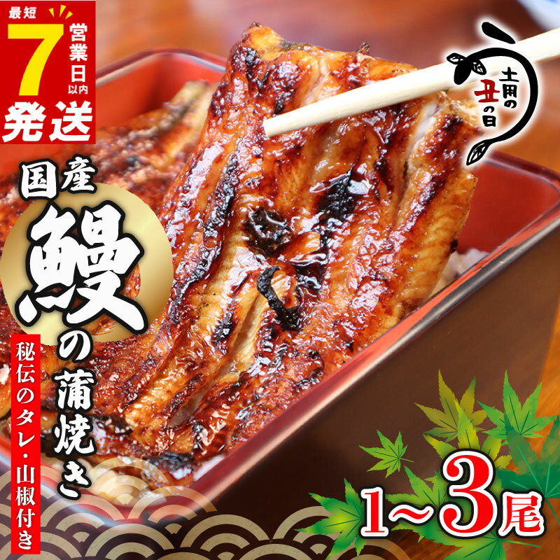 【ふるさと納税】 ＼最短7営業日以内発送／ 国産鰻 の 蒲焼き 国産うなぎ 選べる 1尾 / 2尾 / 3尾 山椒 タレ つき 半身 カット 国産 うなぎ ウナギ 鰻 炭火焼 炭火 うなぎ蒲焼き うな重 ひつまぶし 蒲焼 丑の日 贈り物 贈答 ギフト プレゼント 送料無料 千葉県 旭市 川千家
