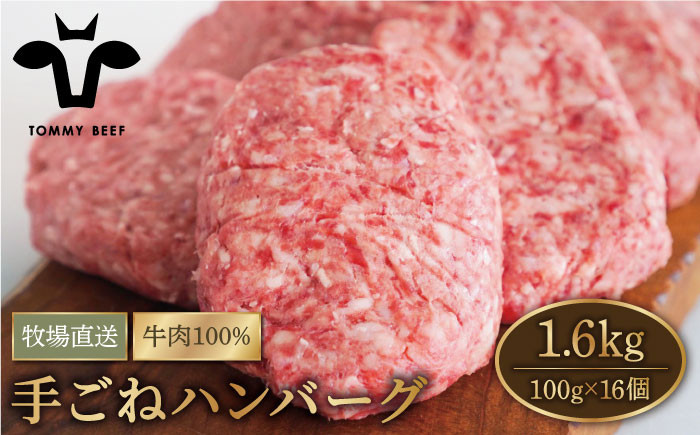 
【牧場直送】岩塩と牛肉のみで作った 手ごね ハンバーグ 100g×16個【有限会社佐賀セントラル牧場】 [IAH043]
