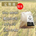 【ふるさと納税】秋田県産ササニシキ（精米）郷山のお米2kg×4ヶ月定期便（4回 4ヵ月）　【定期便・米 お米 ササニシキ】