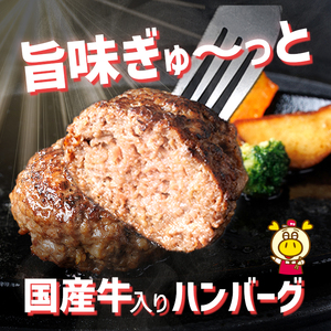 ロピア 牛肉100％ 国産牛入りハンバーグ (タネ：1650g) 春日市限定 牛肉 味付け肉 下味付き ロピア LOPIA 味付け 惣菜 おかず 冷凍 焼くだけ タネ ＜離島配送不可＞【ksg1867