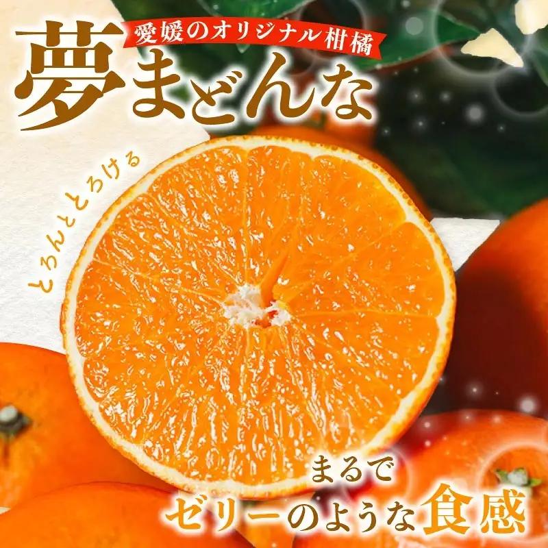 【先行予約】特選 みかん職人の夢まどんな 2kg 柑橘 果物 フルーツ 愛媛 みかん職人武田屋 蜜柑 愛果28号 愛媛果試第28号 まどんな 大小ミックスサイズ 甘い 甘さ らんきんぐ みかん かんき