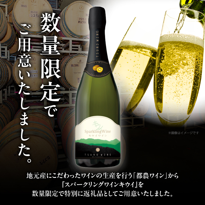 【数量限定】スパークリングワイン キウイ(計1本)_T014-023【酒 飲料 アルコール 国産 人気 ギフト 飲料 食品 お酒 お土産 限定品 贈り物 送料無料 プレゼント】