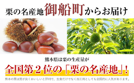 【先行予約】生栗約1kg(2L-Lサイズ)《2026年9月上旬-9月下旬頃出荷》