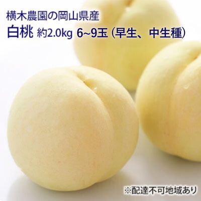 【ふるさと納税】桃 2025年 先行予約 岡山の 白桃 （早生、中生種）約2.0kg 6～9玉 もも モモ 岡山県産 国産 フルーツ 果物 ギフト 横木農園　 デザート 太陽 化粧箱 果肉 柔らかく果汁 厳選 美味しい 贈答品 　お届け：2025年7月上旬～2025年8月上旬