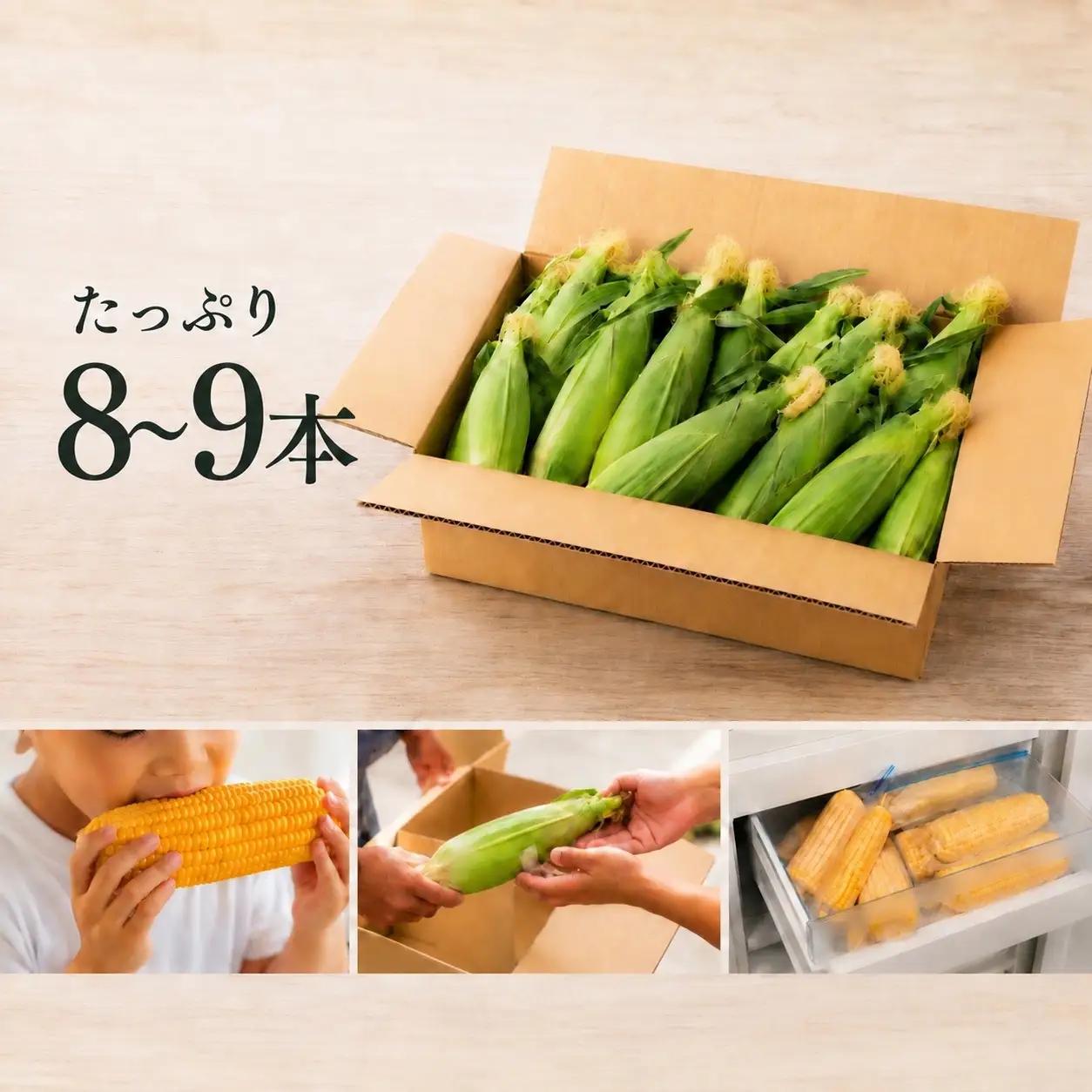 先行予約 とうもろこし L 約3kg 約8～9本 ゴールドラッシュ 岩手町産 2027年発送 