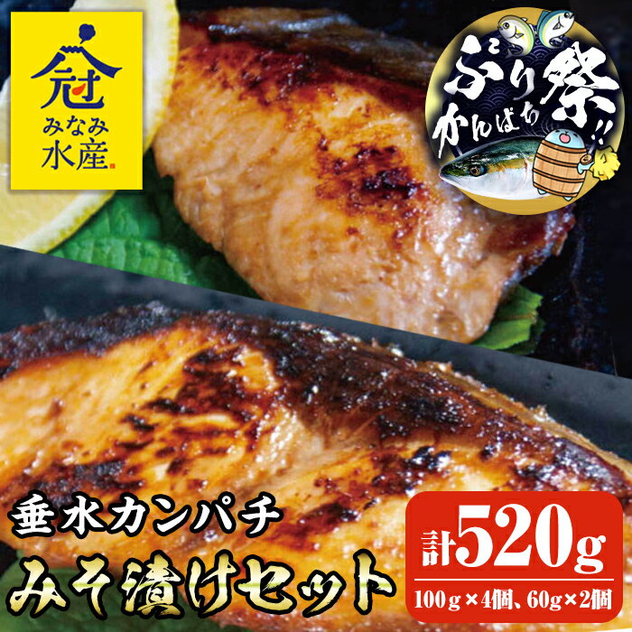 【ふるさと納税】【期間限定！ぶりカンパチ祭り！】＜父の日ギフト＞＜水産庁長官賞受賞＞カンパチみそ漬けセット(計520g・100g×4個、60g×2個)魚 かんぱち カンパチ 海鮮 魚介 みそ漬け 味噌漬け 惣菜 おかず おつまみ 冷凍 国産 鹿児島産 垂水市【みなみ水産】B2-2601