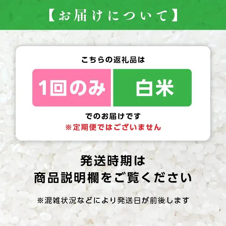 【令和8年先行予約】白米 こしひかり ひとめぼれ 10kg 精米 ブランド米