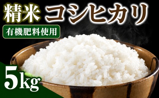 令和8年産 新潟県見附市産 コシヒカリ 精米 5kg