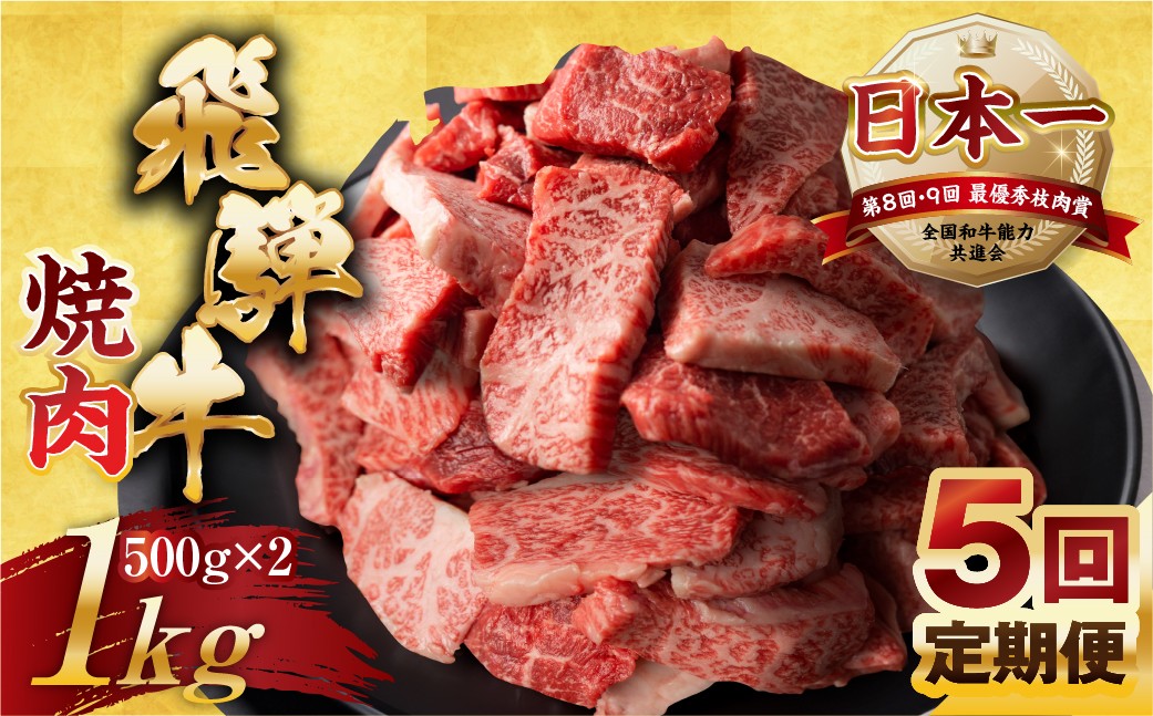 
                  【定期便】訳あり 飛騨牛 焼肉 切り落とし 500g × 2 計 1kg 5回お届け定期便 | 牛肉 肉 切落し わけあり ぎゅうにく にく ひだぎゅう ひだうし 訳あり 商品 ワケアリ 不揃い 小分け 切り落とし きりおとし 小分け 冷凍 本巣市 トキノ屋 食品 訳有 焼肉セット 焼肉用
                