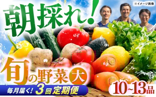 【3回定期便】 土佐の太陽をいっぱいに浴びた旬の野菜セット「大」 (3回配送)【土佐野菜】[ATBA008]