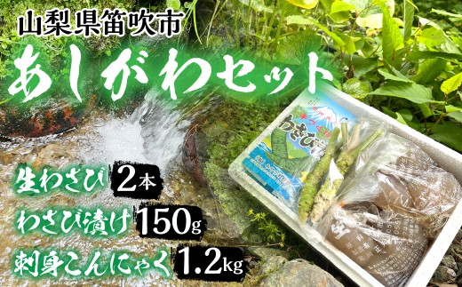 あしがわセット（生わさび+わさび漬け+刺身こんにゃく） 251-001