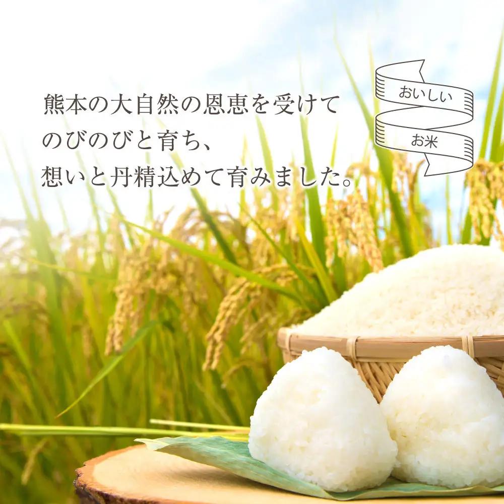 【定期便隔月6回】R7年産コシヒカリ 5kg プロ厳選の産地直送米 白米 お米 人気 美味しい 白ご飯 こだわり 農業 甘味 香り ツヤ お米の王様 熊本県 阿蘇市