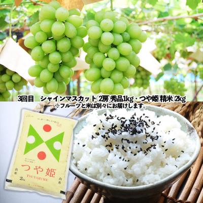 ふるさと納税 山形市 ★定期便3回★山形の人気フルーツとお米の定期便 FU23-308 |  | 03
