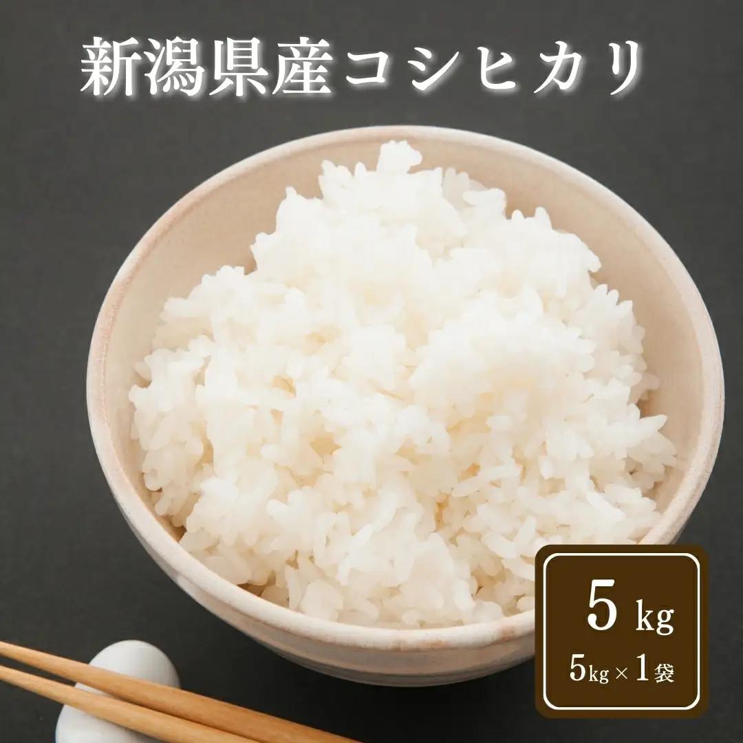 令和7年産 コシヒカリ 5kg 精米 こしひかり | 新潟県 五泉市 コシヒカリ