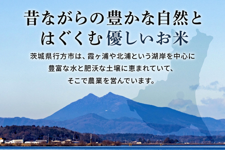 令和7年産新米 玄米 5kg 栽培期間中農薬不使用 こしひかり 茨城県産 米 お米 コメ ご飯 コシヒカリ 食味豊か 甘み 旨み 冷めても 美味しい お弁当 向け 食卓常備 産地直送 茨城県 潮来市 