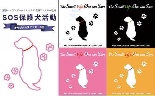 【オレンジ】那須ハイ＆りんどう湖 SOS保護犬活動 オリジナルステッカー 1枚 | 保護犬 ステッカー シール 日用品 雑貨 那須 栃木県 那須町〔A-52〕