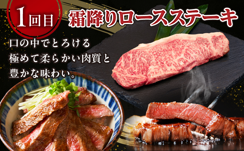 【3か月定期便】宮崎牛ステーキ定期便_Tk031-t022