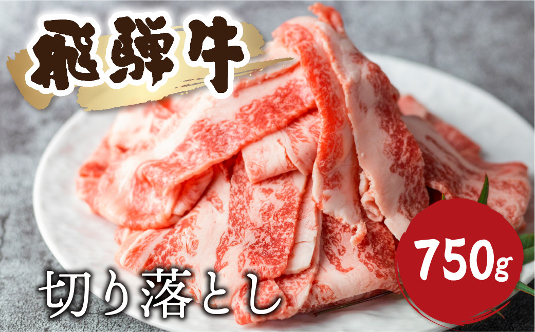 
                  ＜8月から寄附額改定＞《訳あり》飛騨牛 切り落としスライス 750g 焼肉 牛肉 黒毛和牛 和牛 すき焼き 焼き肉 訳アリ わけあり ワケアリ 不揃い 部位おまかせ 煮物 飛騨古川 18000円
                