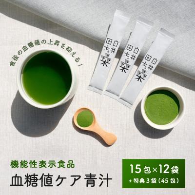 ふるさと納税 鹿沼市 機能性表示食品「白井田七。桑　血糖値ケア青汁」12袋セット(約6ヶ月分)　特典15包×3袋付き