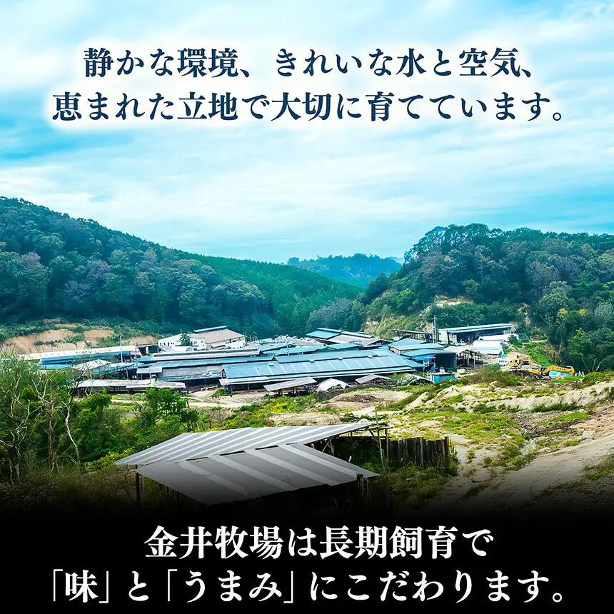 【 定期便 12回 】 小分け 国産牛 こまぎれ 600g ( 300g x 2 ) ｜ブランド牛 和牛 金井畜産