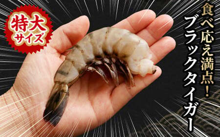 【6回定期便】特大 ブラックタイガー 無頭えび 570g以上（15尾）×6回 ｜海老 えび エビ ブラックタイガー 海鮮 魚介 殻付き 冷凍 大阪府 阪南市