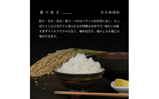 特別栽培米  ひとめぼれ 10kg 白米 令和8年産 山形県産 10月より順次発送 東北 山形県 遊佐町 庄内地方 米 お米 庄内米 精米 ご飯 ごはん 産地直送 農家直送