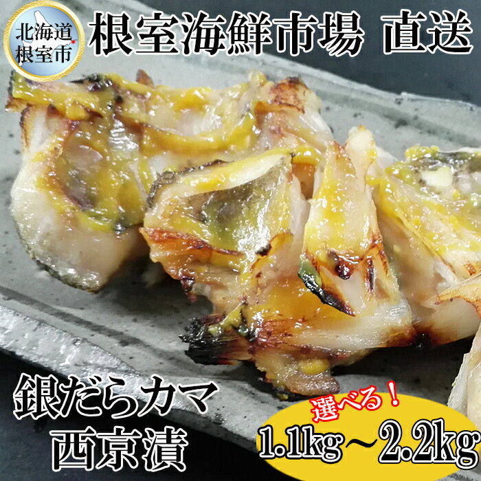 【ふるさと納税】根室海鮮市場＜直送＞銀だらカマ西京漬け 選べる 1.1kg 2.2kg 銀ダラ 銀鱈 さかな サカナ 魚 北海道 根室市