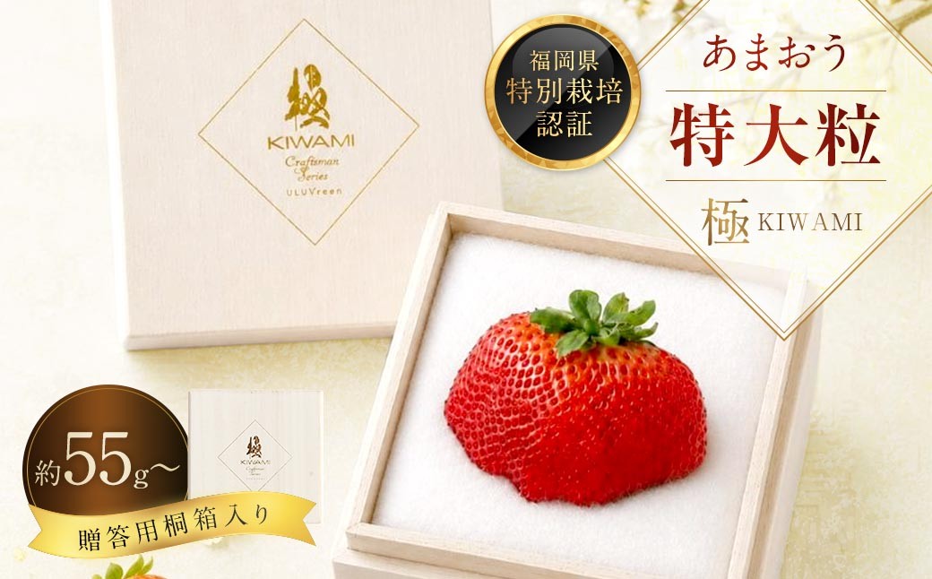 
                  あまおう 「 極 」 特大粒 1粒（約55g～79g） いちご イチゴ 苺 果物 くだもの フルーツ 果実 果肉 希少 桐箱 贈り物 贈答用 プレゼント 国産 福岡県産 【 2026年11月下旬-2027年4月上旬発送予定 】
                