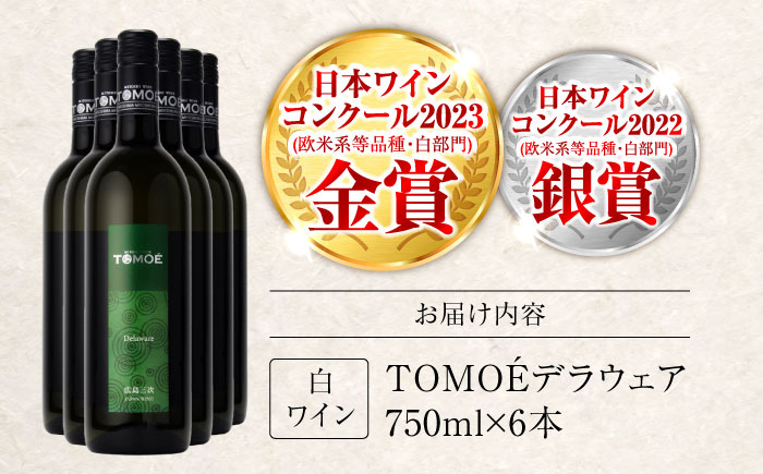 白ワイン TOMOEデラウェア 白 やや辛口 750ml×6本 ワイン 受賞 ギフト 広島 人気 おうち ディナー ランチ お酒 パーティー わいん 三次市 / 広島三次ワイナリー [APAZ091]