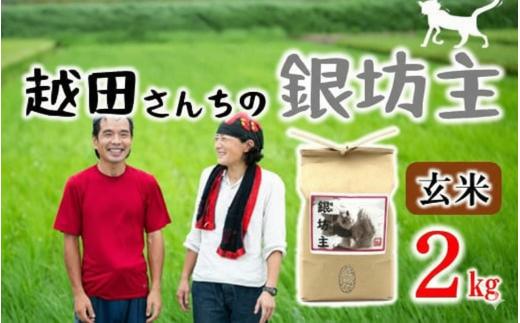 自然栽培米 越田さんちの銀坊主（玄米）2kg 令和7年産