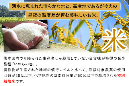 令和5年産 特別栽培米 いのちの壱(白米) 20kg(10kg×2袋) 雑穀米付き《90日以内に出荷予定(土日祝除く)》 熊本県 南阿蘇村 熊本県産 虹色のかば 白米 雑穀米