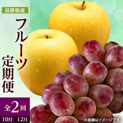 ふるさと納税 中野市 【発送月固定定期便】2027年発送 長野の果物 クイーンルージュ+シナノゴールド全2回