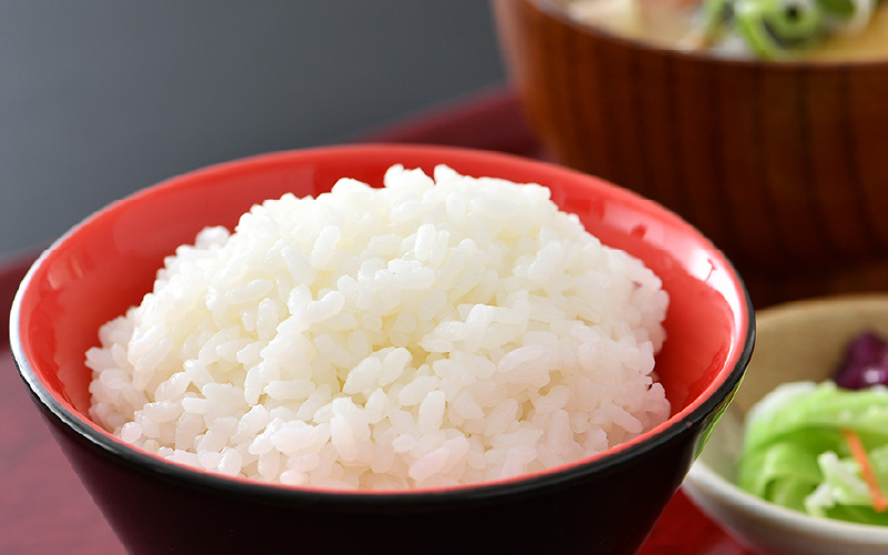 【先行予約】【令和8年産 新米】エコ栽培コシヒカリ  白米5kg×12回 計60kg ／ 鮮度抜群 福井県産 こしひかり ご飯 新鮮 白米 ※2026年10月上旬以降順次発送 [aw063-k009]
