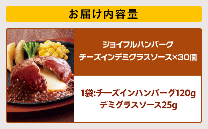 ジョイフル ハンバーグ 30個 ( デミグラス ソース )《築上町》【株式会社 ジョイフル】 [ABAA016]
