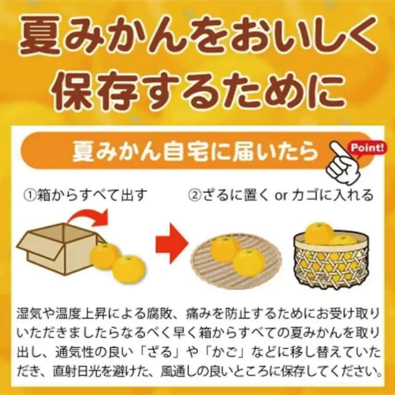 夏みかん 7.2kg　※2027年4月中旬頃～2027年4月末頃順次発送（お届け日指定不可）【uot775】