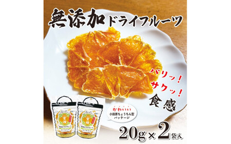 無添加ドライフルーツ(みかん)20g×2袋入【 神奈川県小田原市 ドライフルーツ ドライフルーツ】